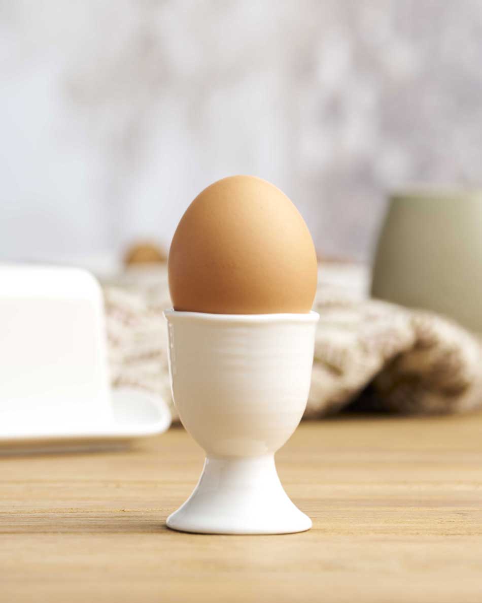 Robert Gordon Egg Cup- At Home White